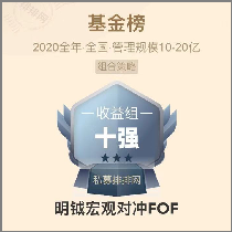 宏观2020奖.png