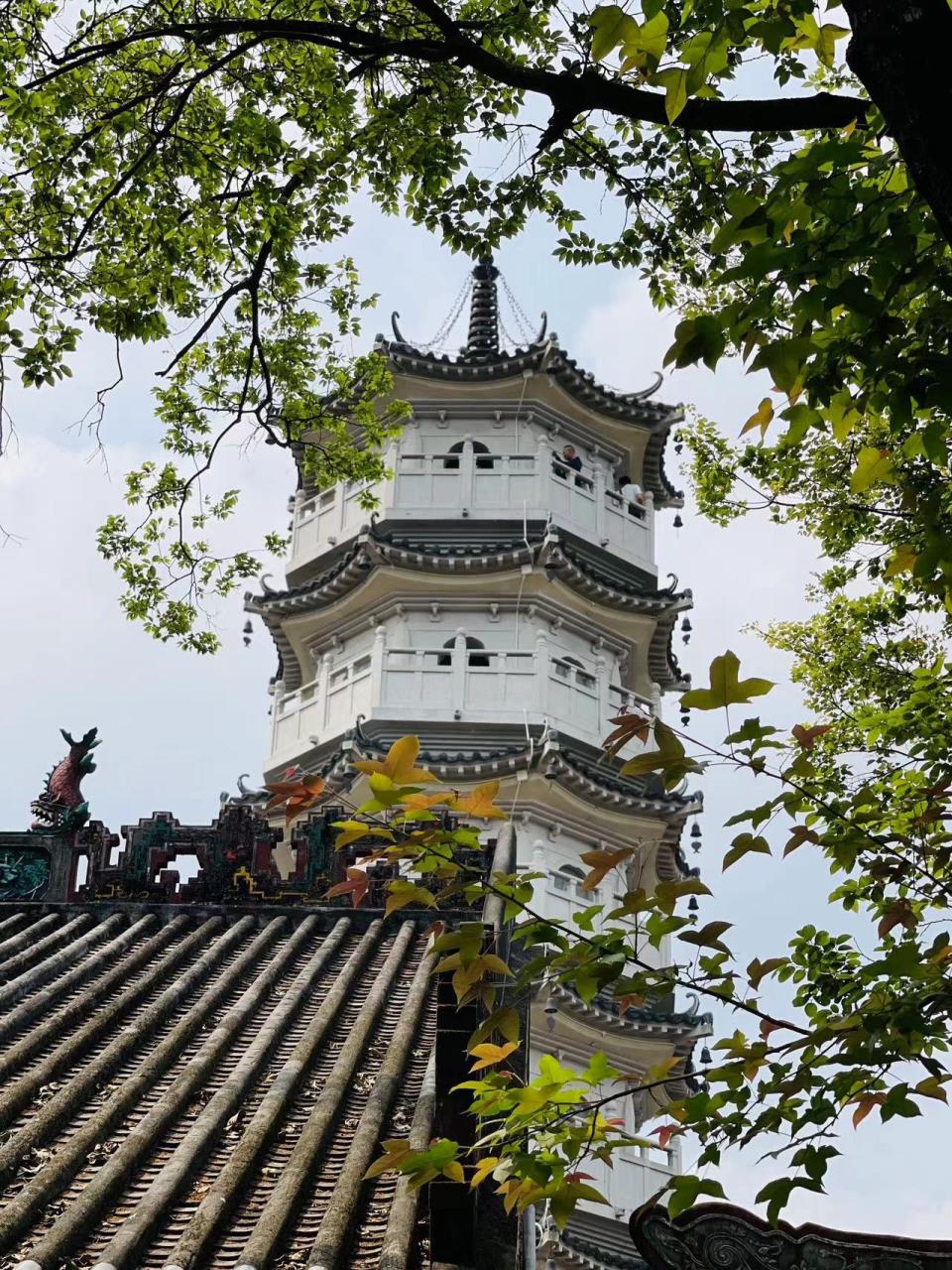 微信图片_20230323144854.jpg